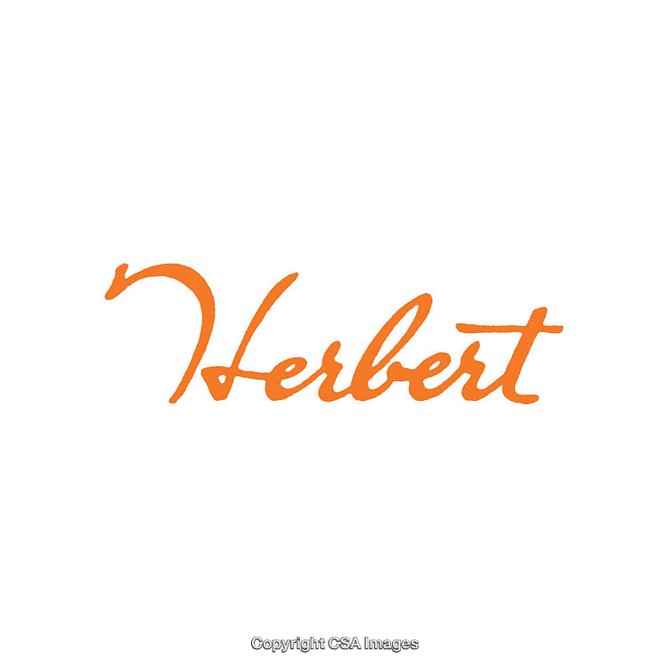Stylish Orange Brush Lettered Name Design on a White Background
