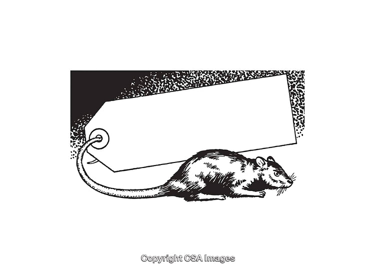 Vintage Line Art Illustration of a Rat and a Blank Tag Frame