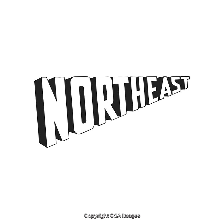 Bold 3D Typography of Northeast Direction on White Background