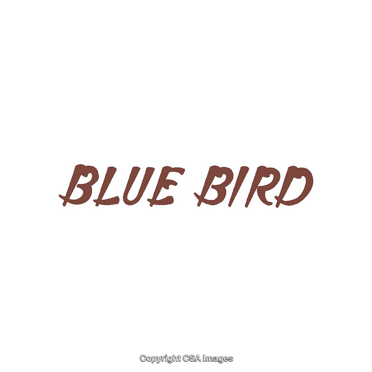 Blue Bird Text in Decorative Font with Brown Color on Plain White Background