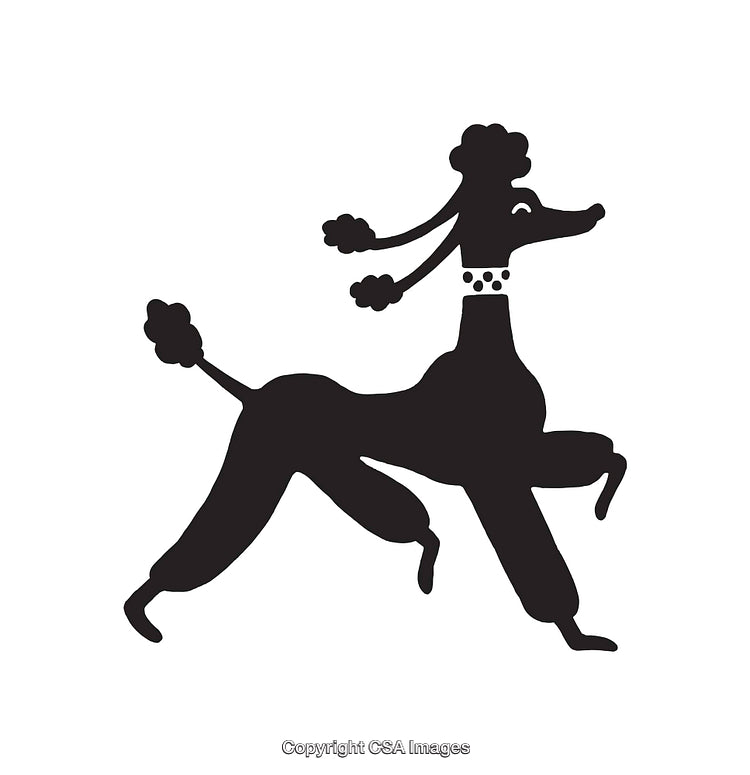Elegant Black and White Silhouette of a Stylish Poodle in Line Art