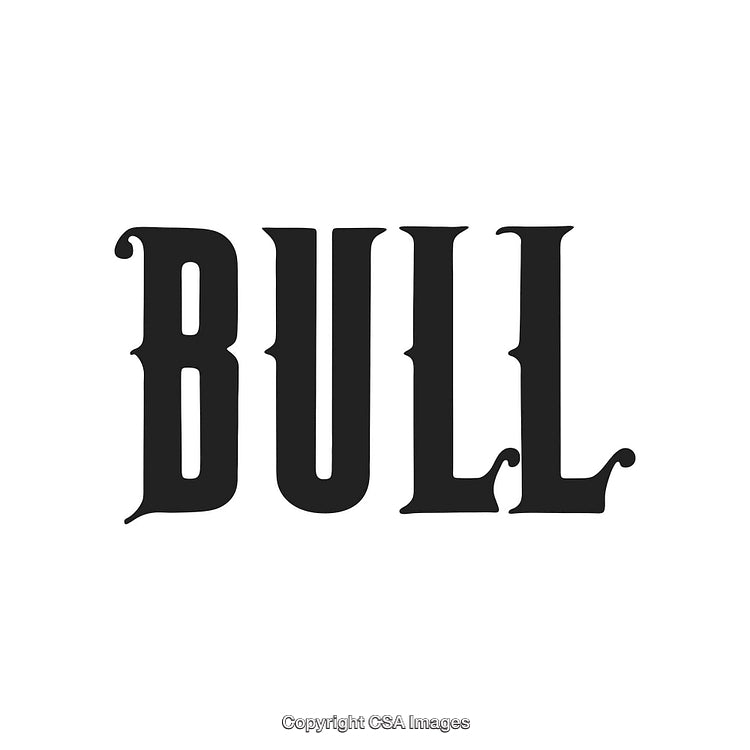 Bold Black Western Style Typography Displaying the Word Bull on White Background