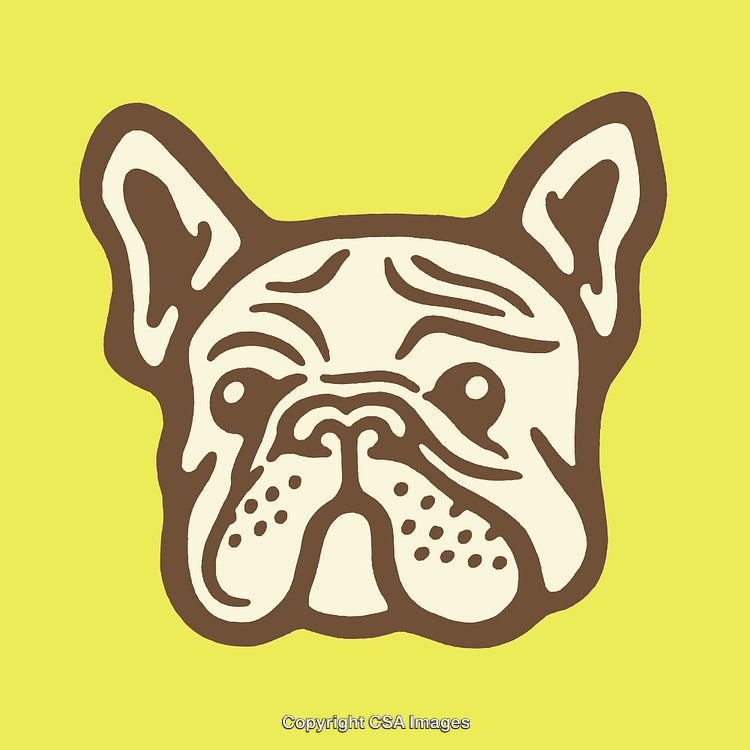 Illustrated French Bulldog on Bright Yellow Background in Artistic Style