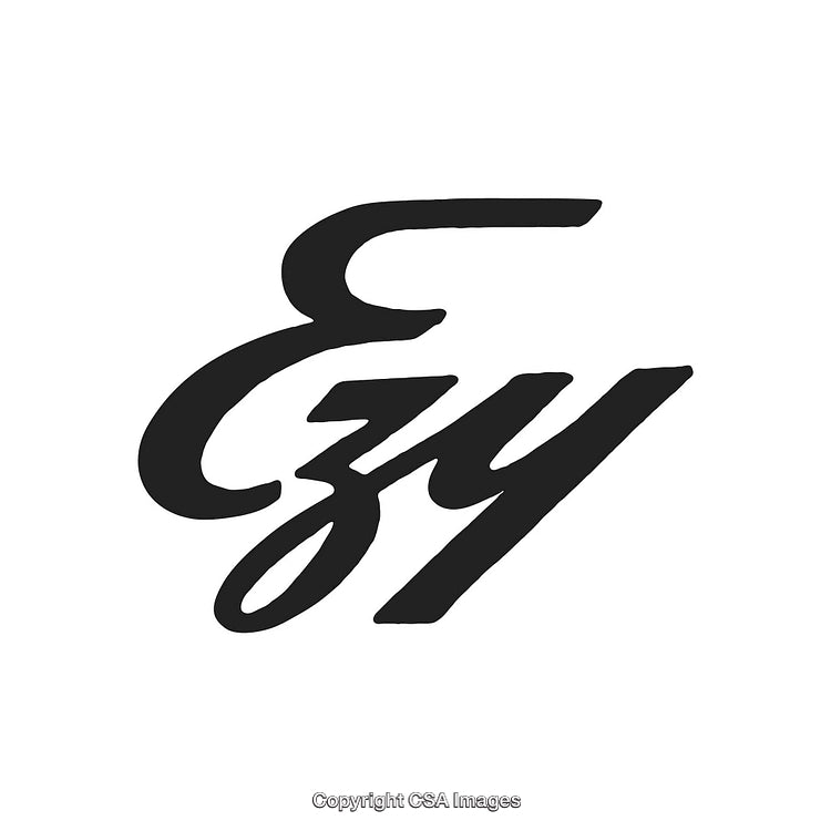 Hand-Drawn Calligraphic Design Featuring the Stylish Logo Text 'Ezy'