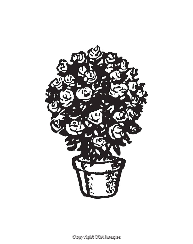 Intricate Black and White Line Art of Potted Flowering Plant