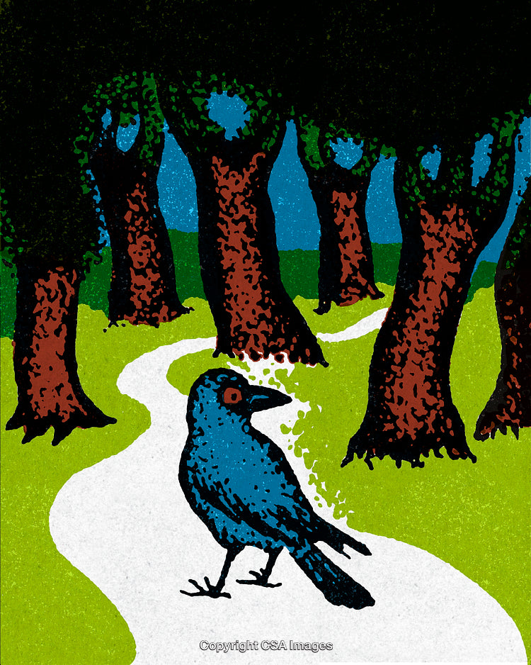 Artistic Illustration of a Bird in a Forest Path Setting