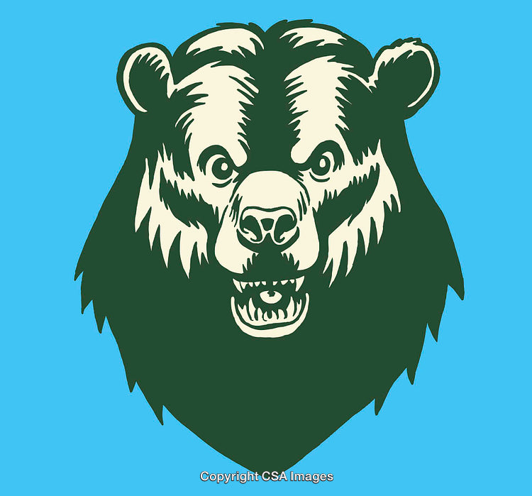 Bold Stylized Illustration of a Fierce Bear Head on Blue Background