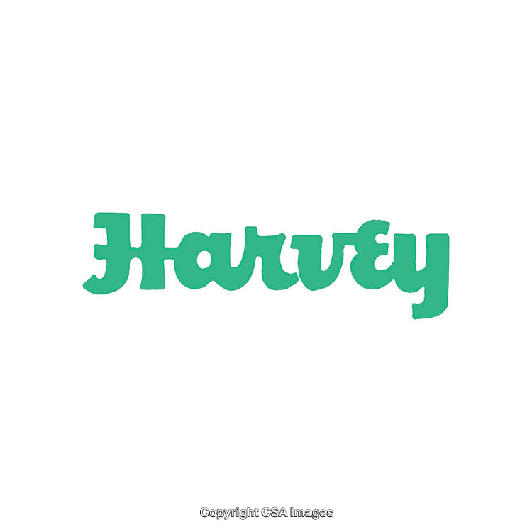 Green Cursive Text on White Background in Unique Typography Design