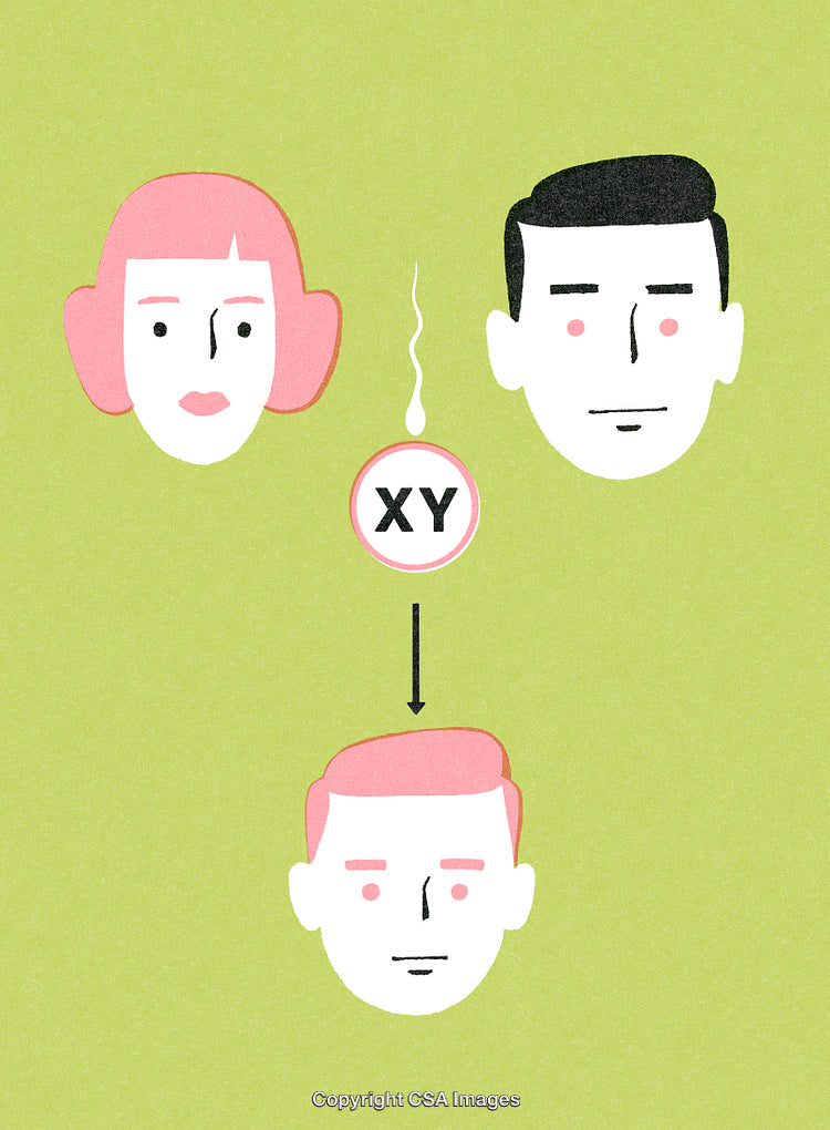 Genetics Illustration Showing Family Traits and Chromosomal Inheritance