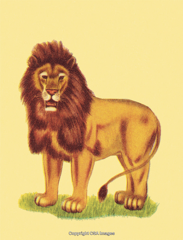 Majestic Lion Illustration Depicting Strength and Wilderness in Vintage Style