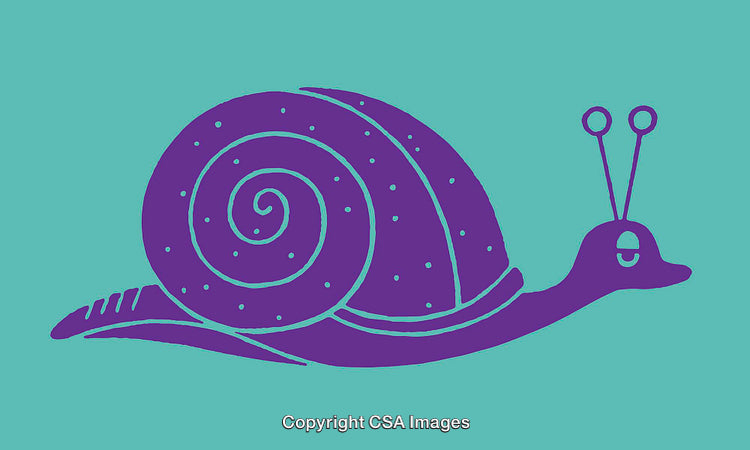 Purple Snail Illustration on Turquoise Background in Minimalist Line Art Style