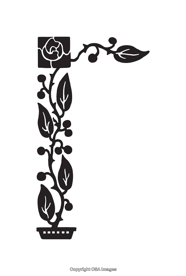 Black and White Rose Plant Outline with Stylized Leaves and Flowers
