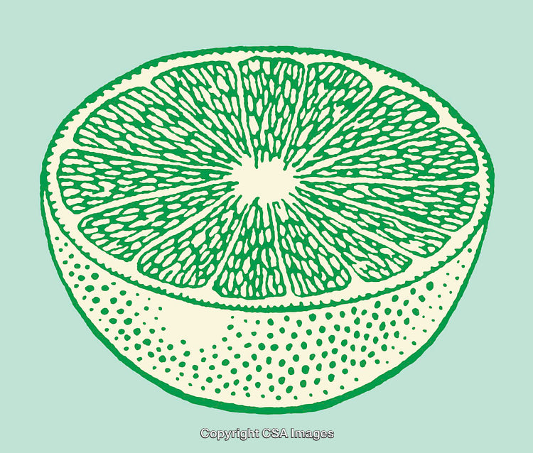 Detailed Line Art Illustration of a Sliced Lime in Green Tones