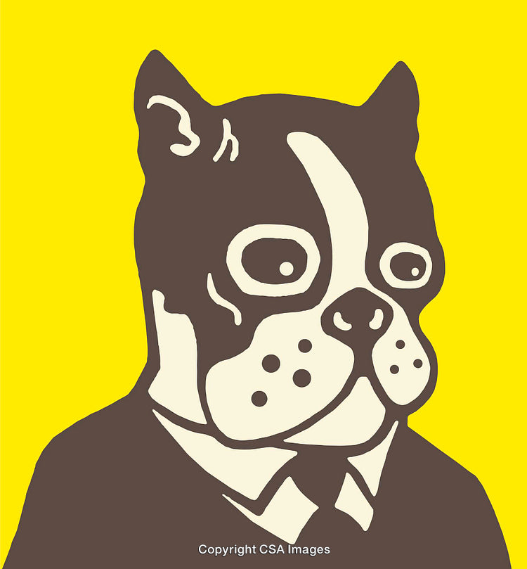Colorful Illustration of a Bulldog in a Suit with Yellow Background
