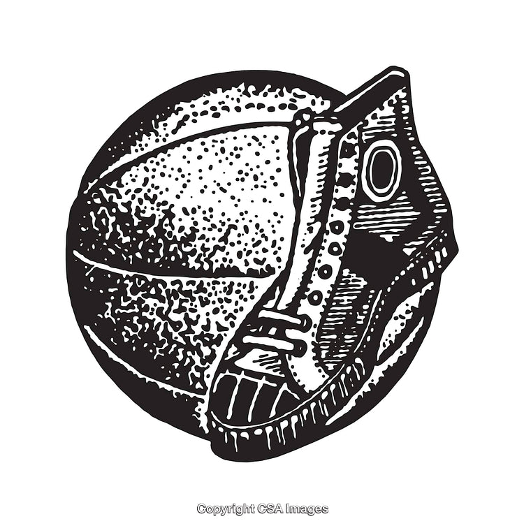 Black And White Line Art of Basketball and Shoe Illustration