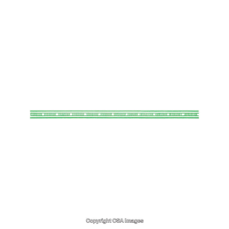 Long Green Double Line with Even Dashes Representing a Measure or Border