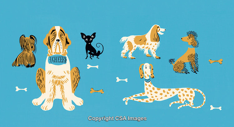 Cute Illustration of Playful Dogs of Various Breeds on Blue Background