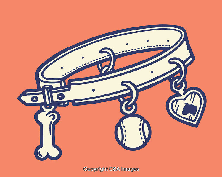 Illustration of a Dog Collar With Playful Dangling Charms