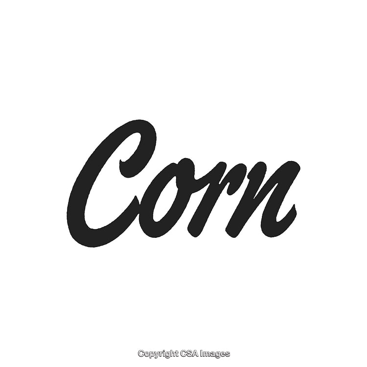 Corn Text in Bold Black Typeface Style on White Background