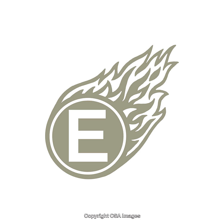 Stylized Letter E Inside a Fiery Circular Design With Flames