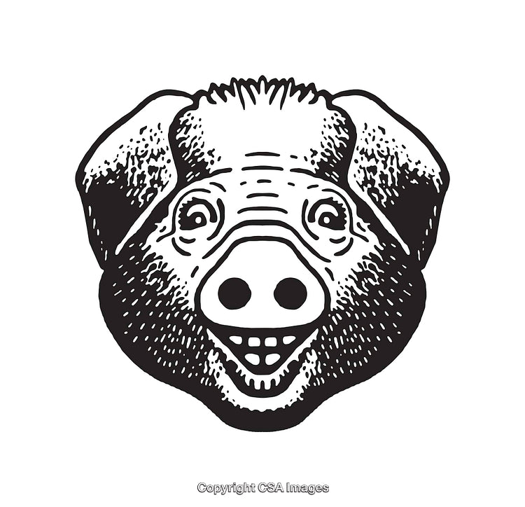 Smiling Pig Head Line Art Illustration in Black and White Design
