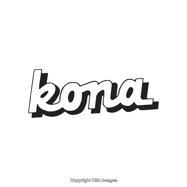 Stylized Black and White Decorative Text Logo Design on White Background
