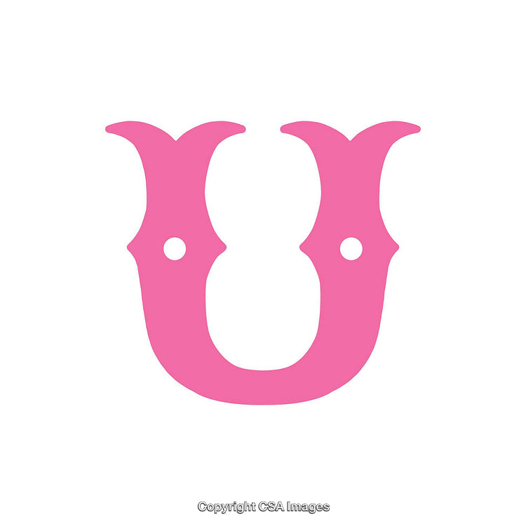 Pink Letter U Design With Decorative and Creative Elements on White Background