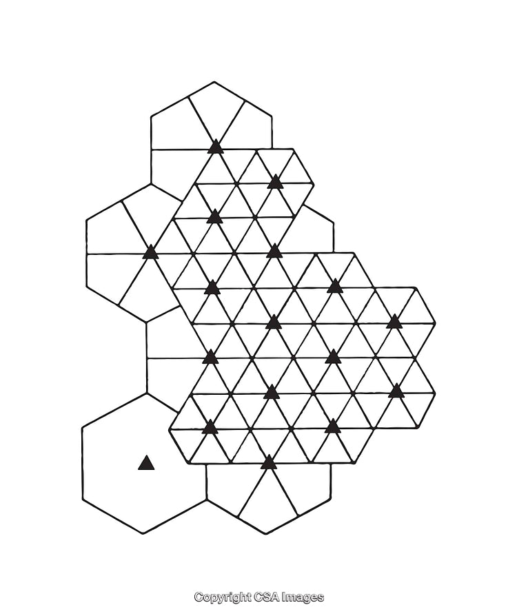 Hexagonal Grid Illustration with Black and White Geometric Patterns