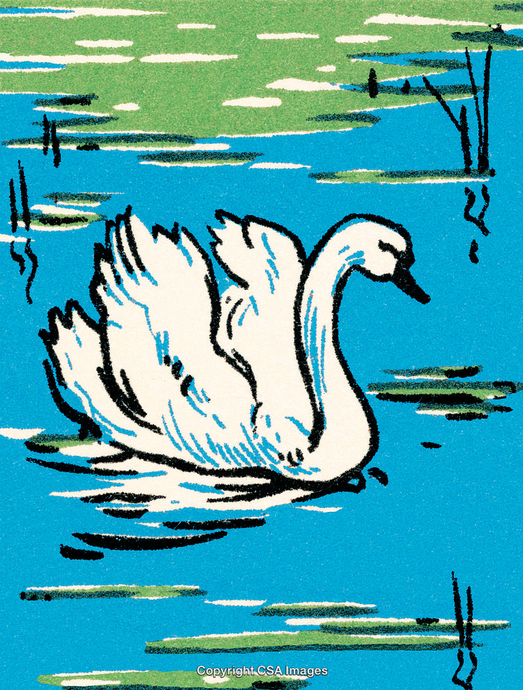 Graceful Swan Swimming in a Peaceful Blue Pond Surrounded by Greenery