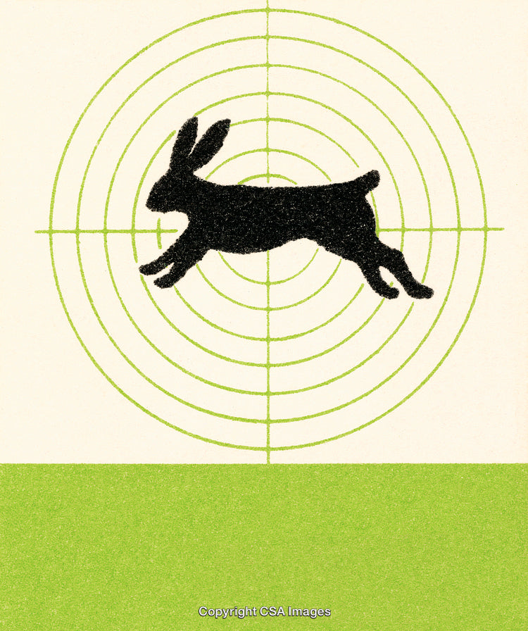Silhouette of a Rabbit with Targeting Graphic Design Art