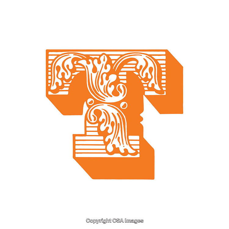Ornate Decorative Letter T with Intricate Orange Design