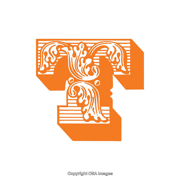 Ornate Decorative Letter T with Intricate Orange Design