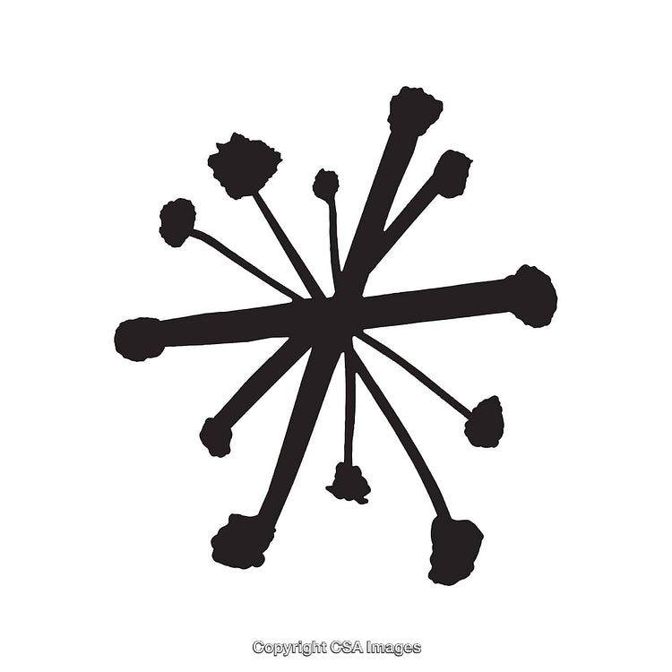 Abstract Black and White Floral Design with Unique Minimalist Style