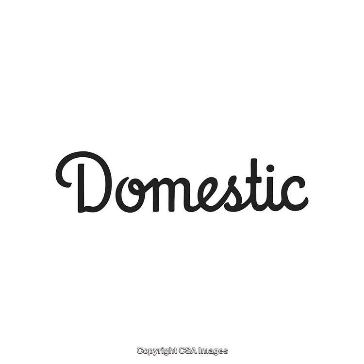 Stylized Black Text Displaying the Word Domestic on a White Background