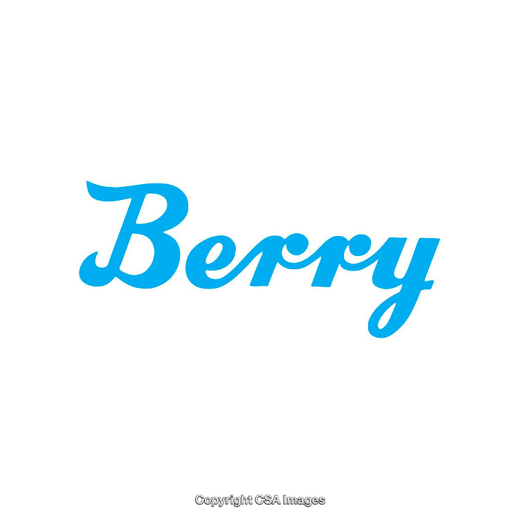 Blue Berry Stylized Text on White Background