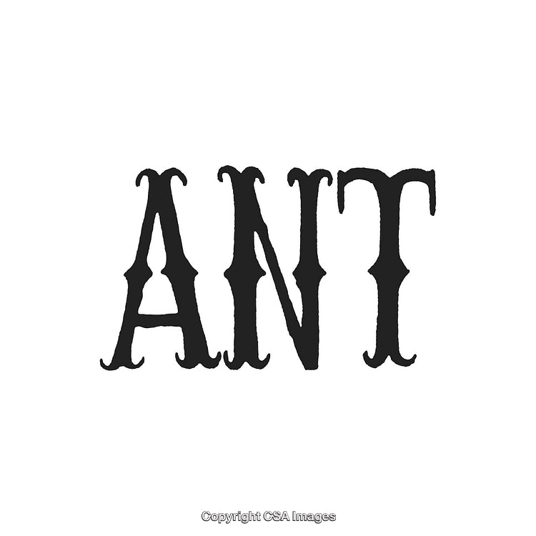 Vintage Illustration of the Word 'ANT' in a Classic Typeface Style