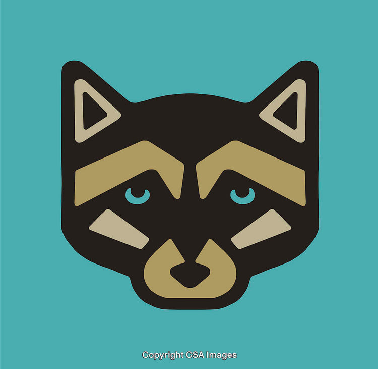 Stylized Line Art Illustration of a Raccoon Face on a Teal Background