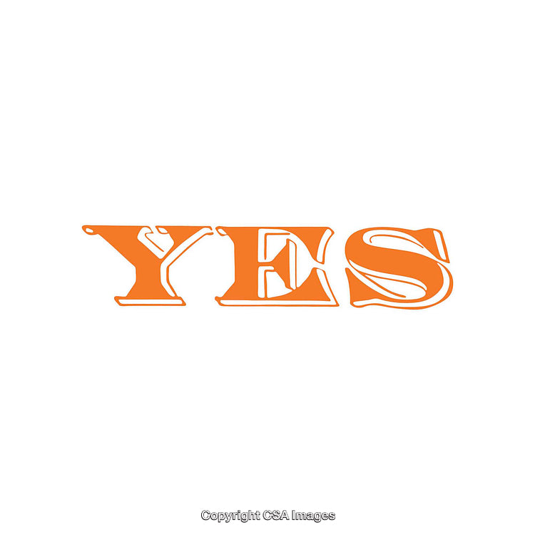 Orange Text Reading YES in Bold Decorative Font on White Background