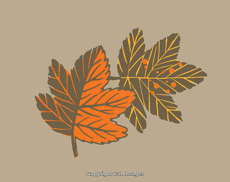 Colorful Artistic Line Art Illustration of Autumn Leaves
