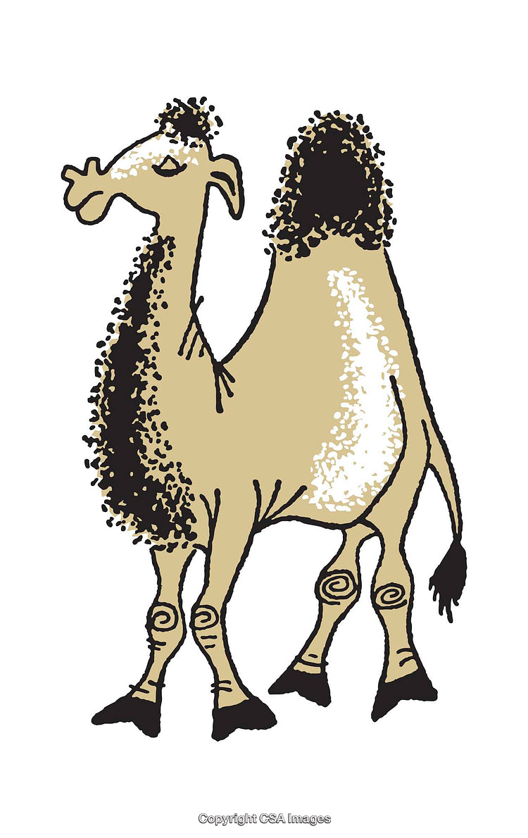 Colorful Illustration of a Two-Humped Camel with Textured Details
