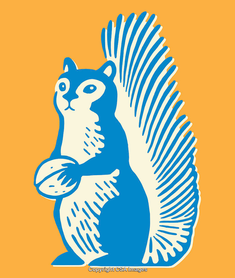Stylized Blue Squirrel Holding Nut on Vibrant Orange Background
