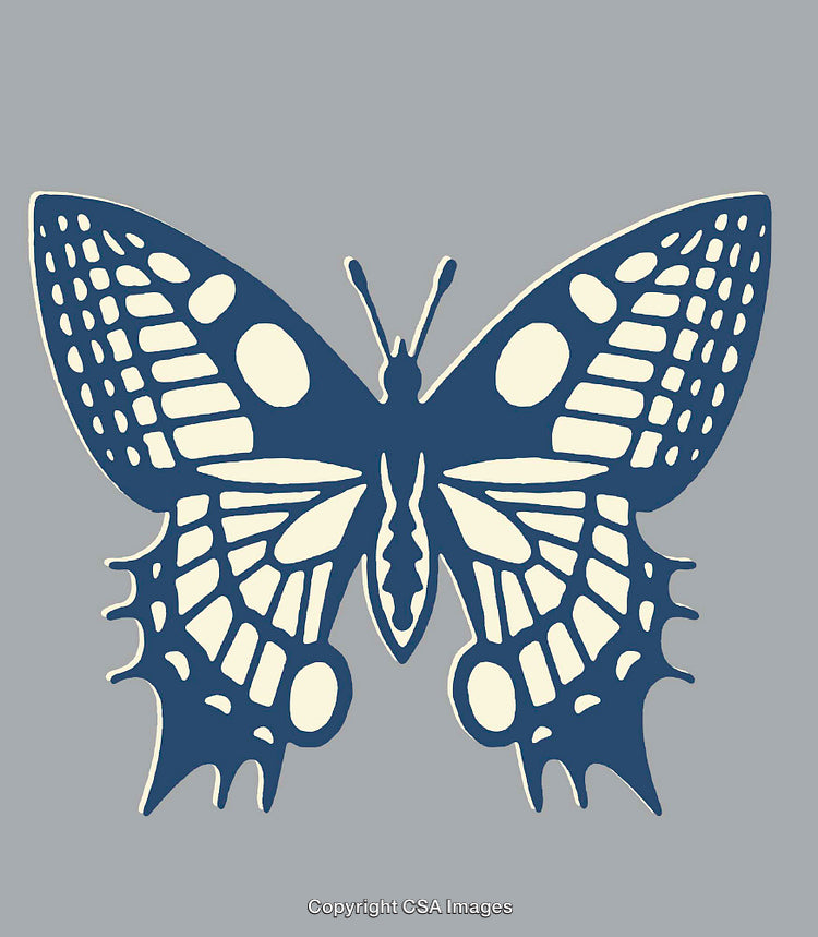 Intricate Butterfly Line Art Illustration in Blue and Cream