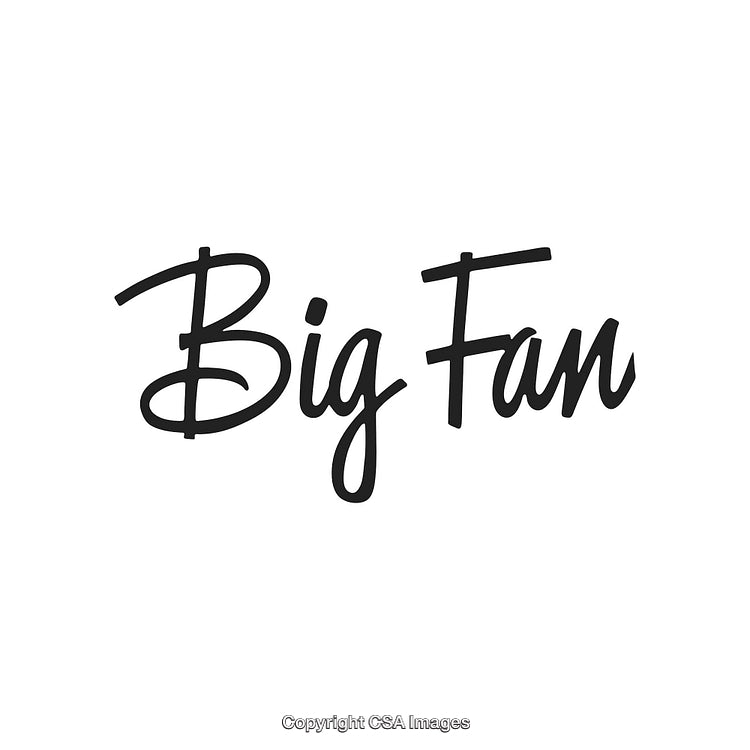 Elegant Handwritten Black 'Big Fan' Text on White Background