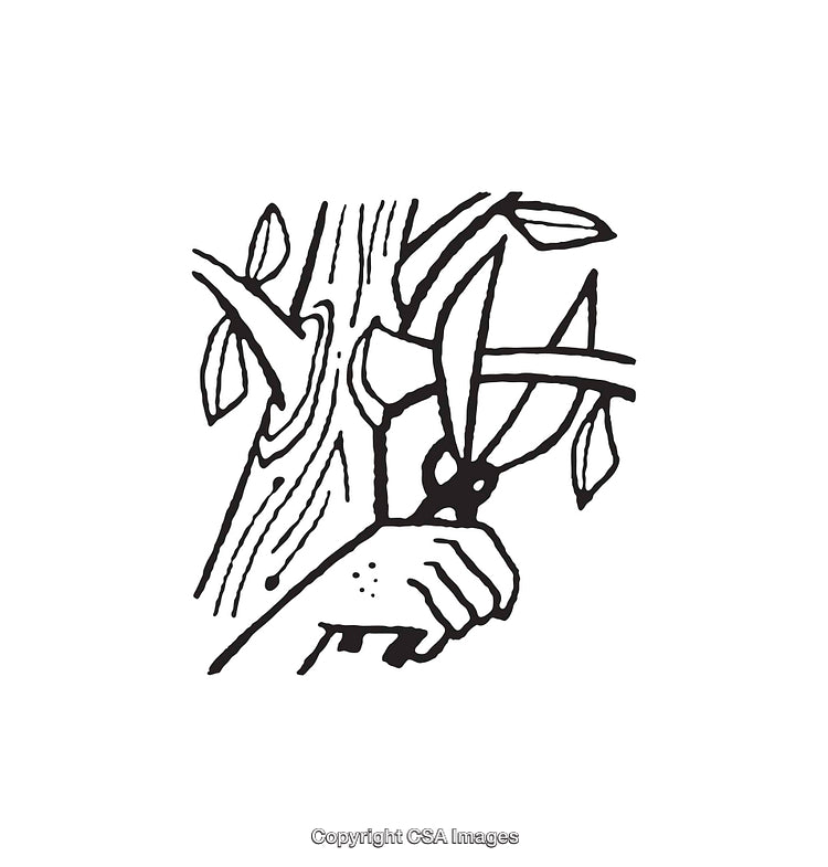 Hand Trimming Branches With Shears in Black and White Line Art Illustration