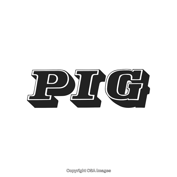 Vintage 3D Text Logo Featuring the Word Pig in Bold Font