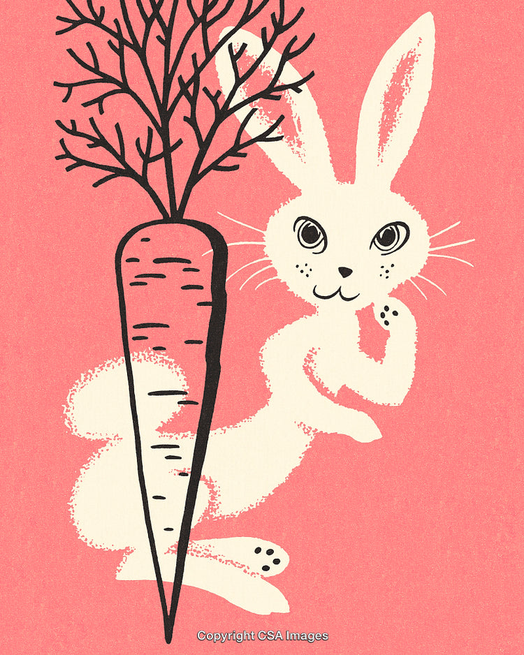 Whimsical White Rabbit with Large Carrot on Pink Canvas Art
