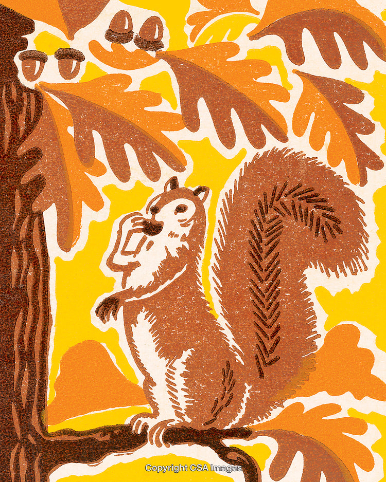 Illustration of a Squirrel in Autumn Setting With Acorns and Oak Leaves