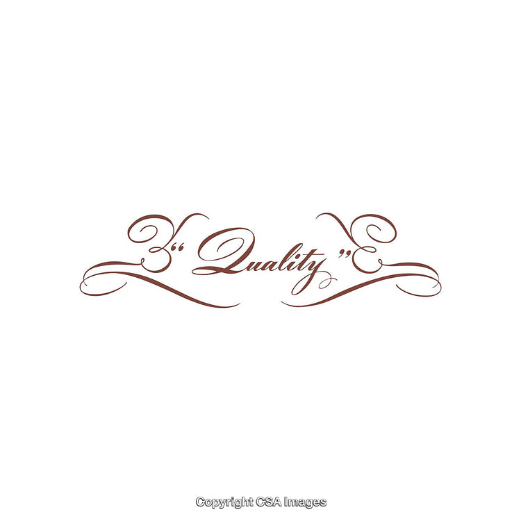 Ornate Script Text Design Featuring Quality-Themed Decorative Flourishes