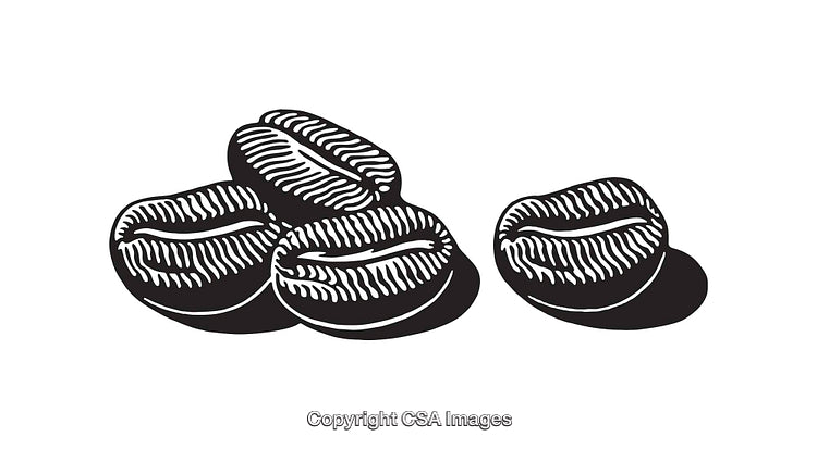 Illustration of Coffee Beans in Detailed Black and White Line Art Design