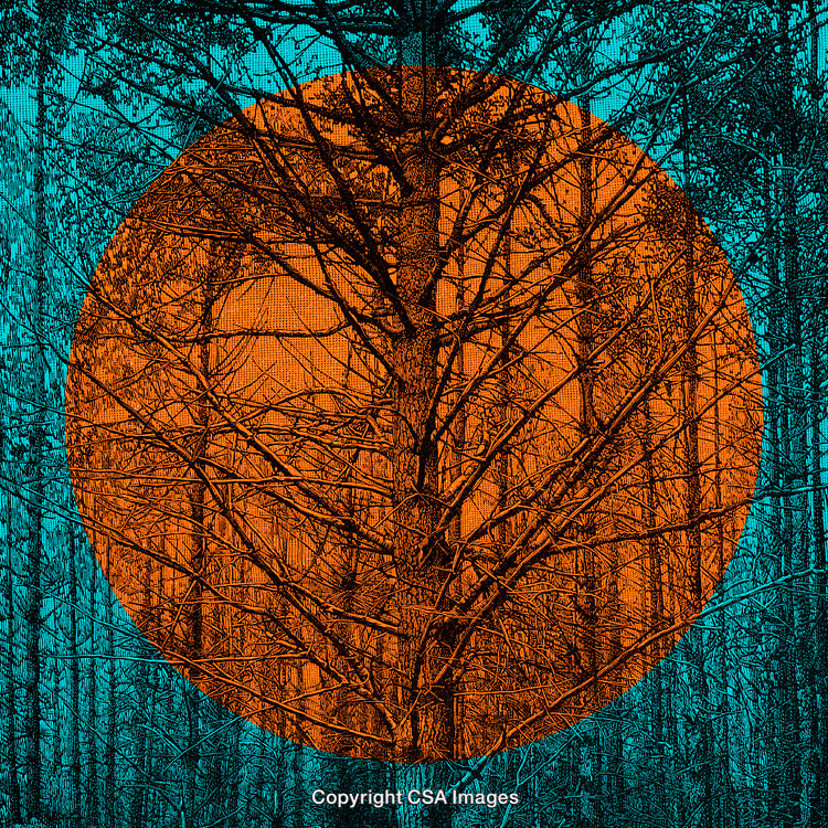 Abstract Forest Artwork Featuring Trees With Vibrant Geometric Orange and Blue Design